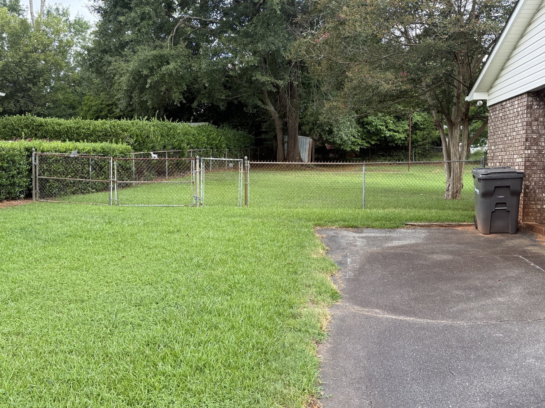 Fenced green backyard